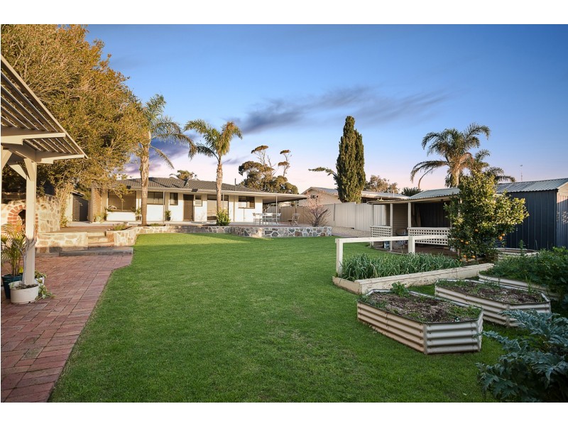 31 Plaza Avenue, Sellicks Beach SA 5174