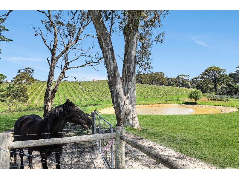 112 Ancell Road, Mount Jagged SA 5211