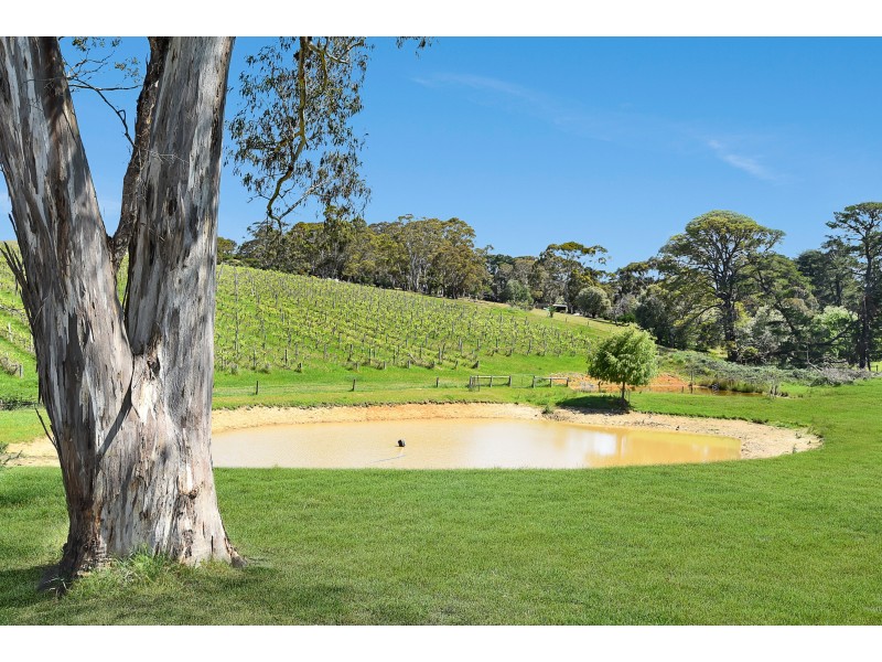 112 Ancell Road, Mount Jagged SA 5211