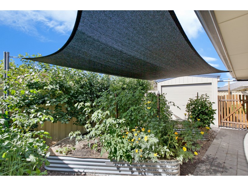 44 Halcyon  Circuit, Aldinga Beach SA 5173