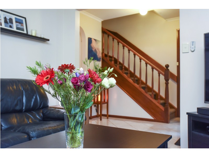 8 Whistler Grove, Flagstaff Hill SA 5159