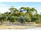 153 Strout Road, Mclaren Vale SA 5171