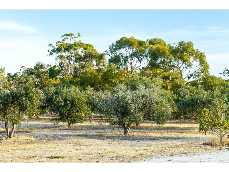 153 Strout Road, Mclaren Vale SA 5171