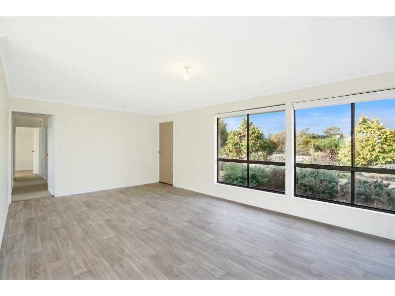 153 Strout Road, Mclaren Vale SA 5171