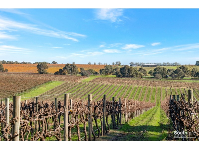 80 Bellevue Drive, Mclaren Vale SA 5171