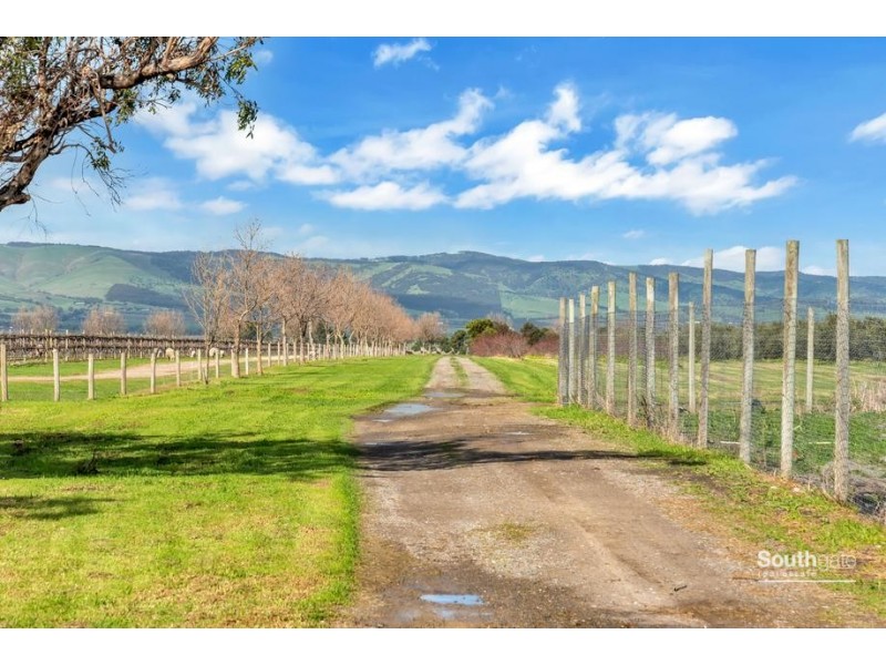 2979 Main South Road, Tatachilla SA 5171