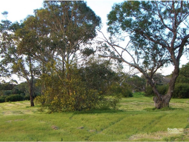 2979 Main South Road, Tatachilla SA 5171