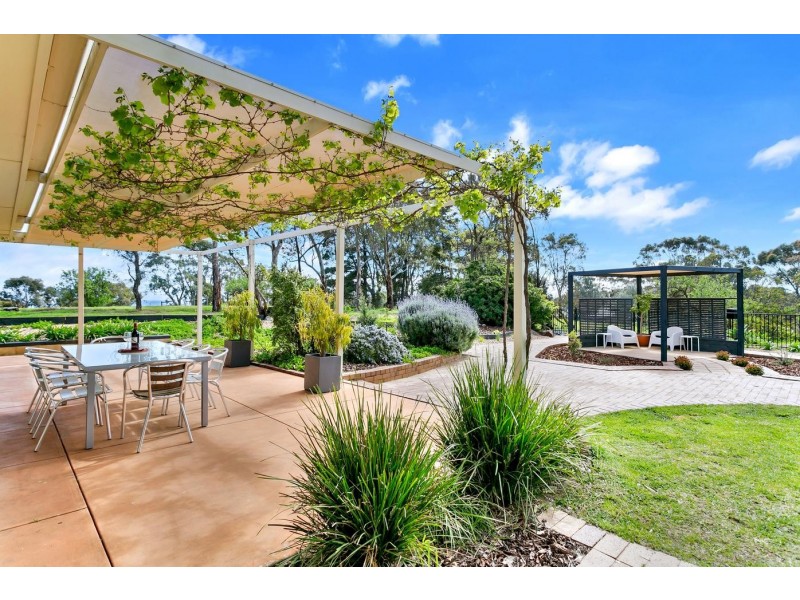 45 Sheoak Road, Mclaren Vale SA 5171