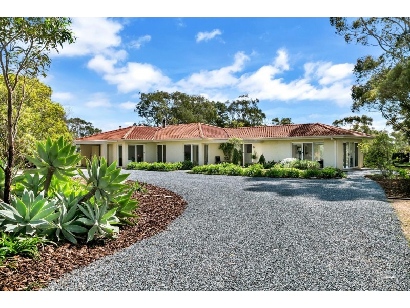 45 Sheoak Road, Mclaren Vale SA 5171