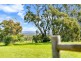 45 Sheoak Road, Mclaren Vale SA 5171