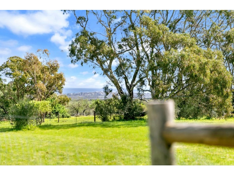45 Sheoak Road, Mclaren Vale SA 5171