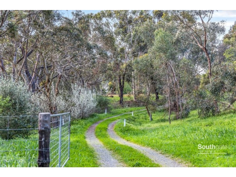379 McMurtrie Road, Mclaren Vale SA 5171