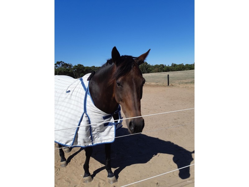 3 Barn Hill Road, Finniss SA 5255