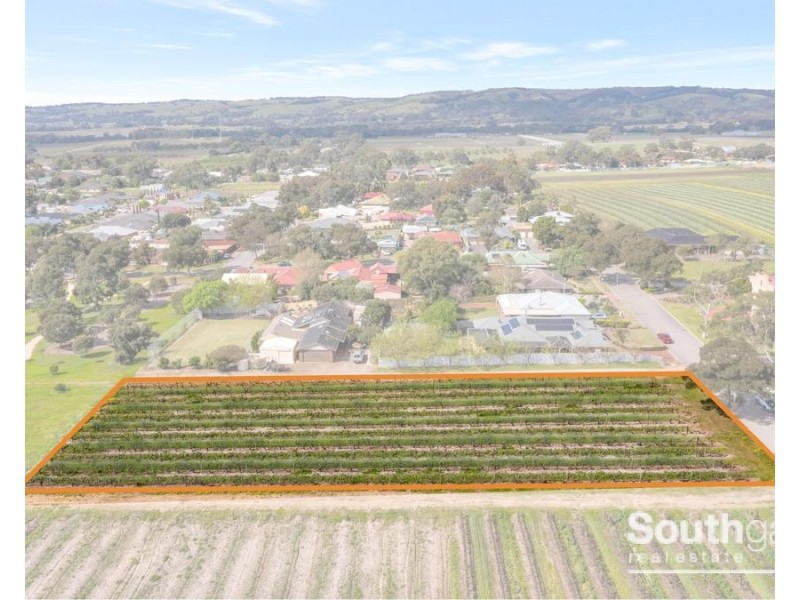 200 Scarpantoni Drive, Mclaren Flat SA 5171