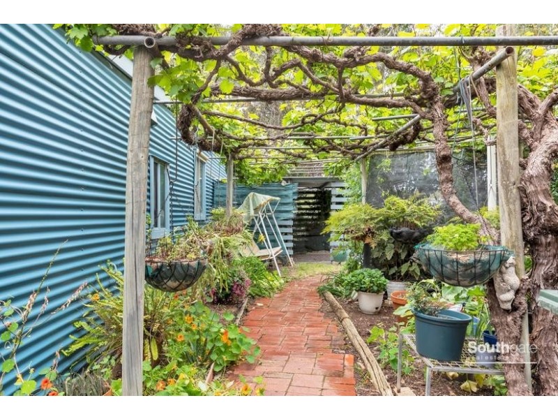 26 Whitings Road, Mclaren Flat SA 5171