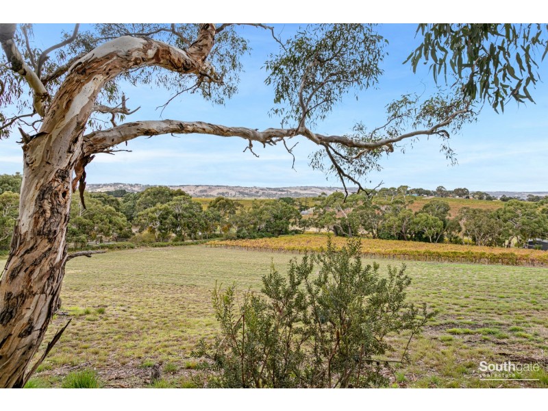 112 Adams Road, Blewitt Springs SA 5171