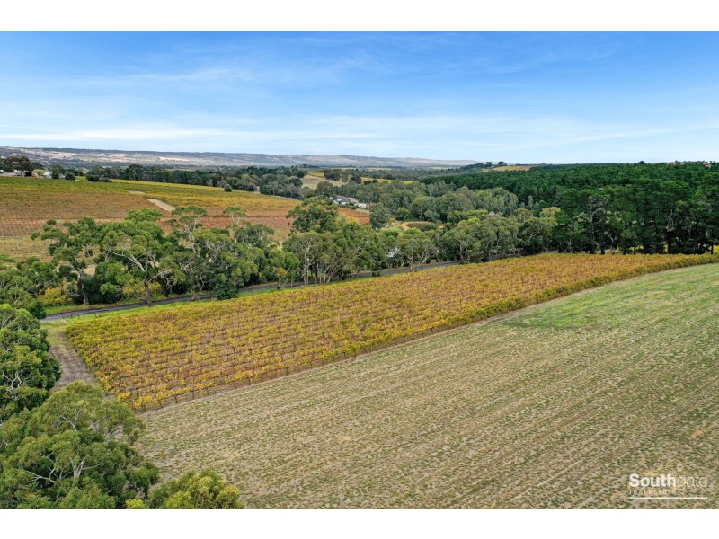 112 Adams Road, Blewitt Springs SA 5171
