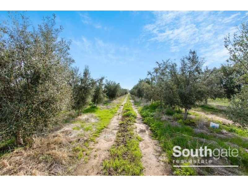 310 Aldinga Road, Whites Valley SA 5172