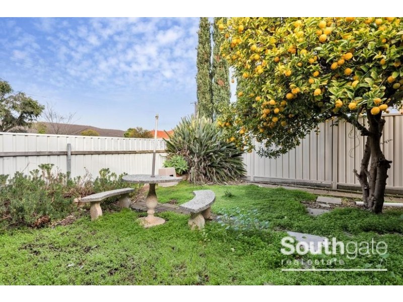 74 Bray Street, Plympton Park SA 5038