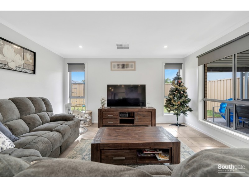 17 Bitts Road, Seaford Meadows SA 5169