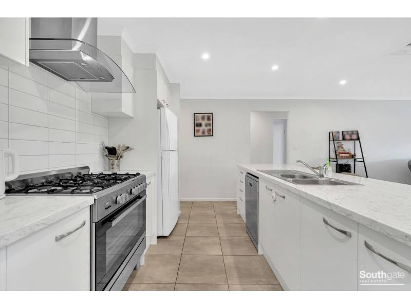 17 Bitts Road, Seaford Meadows SA 5169