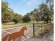 144 Binney Road, Willunga SA 5172