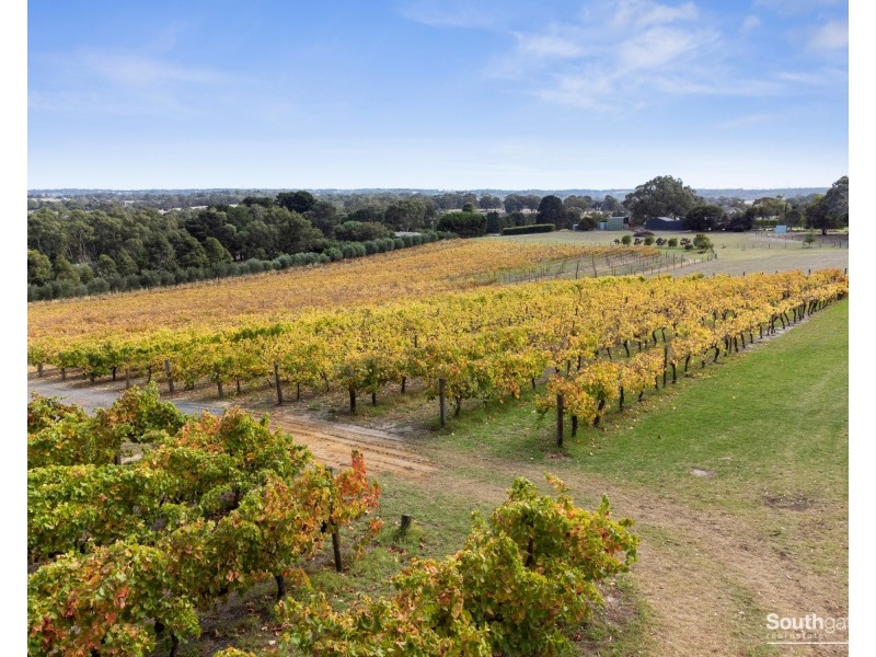 27 Saddle Bags Road, Kangarilla SA 5157