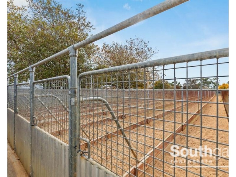 215 Hahn Road, Aldinga SA 5173
