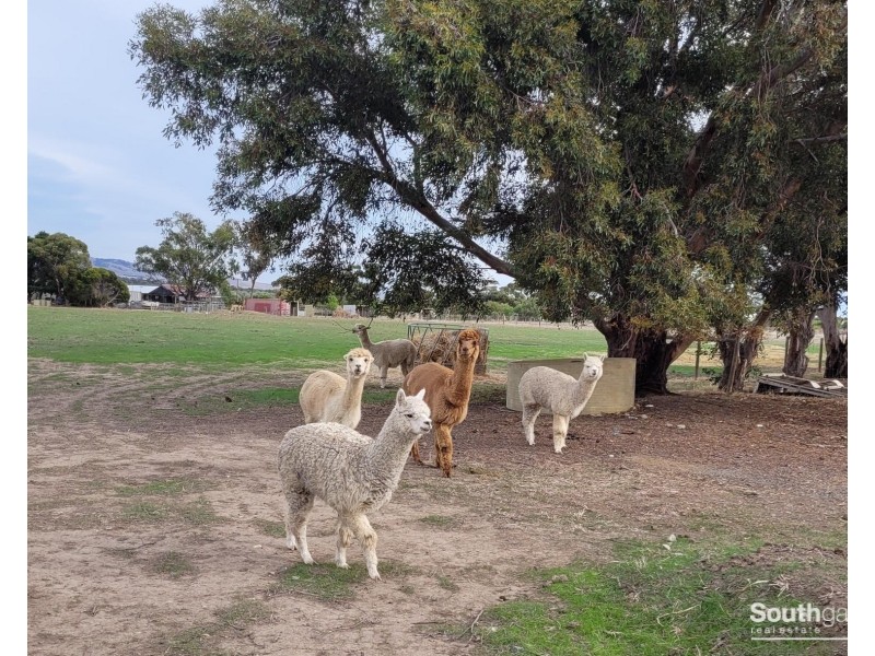215 Hahn Road, Aldinga SA 5173