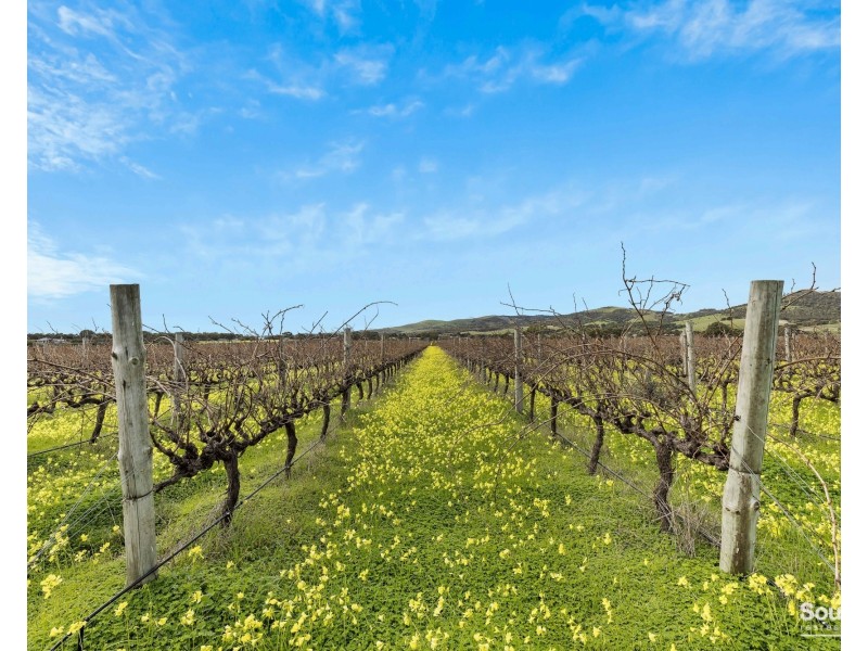 3737 Main South Road, Sellicks Hill SA 5174