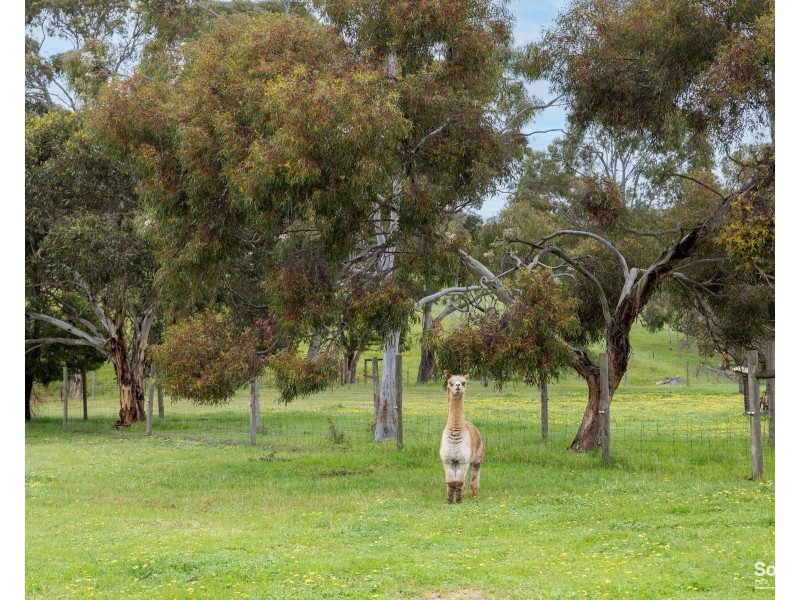 25 Colbert Road, Kangarilla SA 5157
