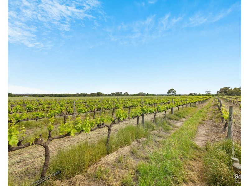 230 Ryan Road, Sellicks Hill SA 5174