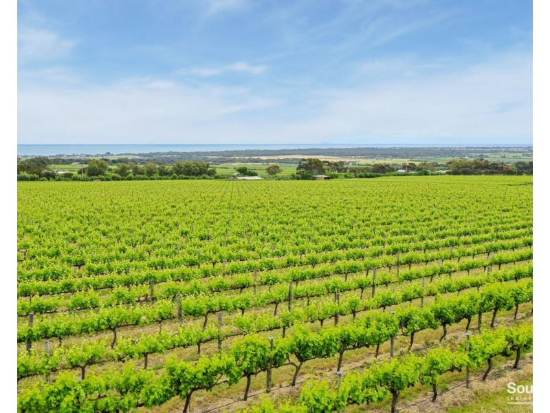 10 Plains Road, Sellicks Hill SA 5174