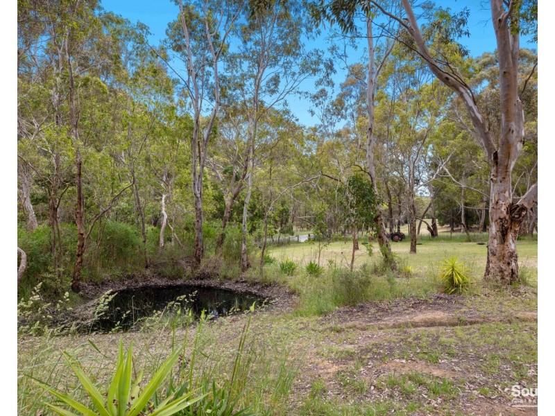 165 Blackfellows Creek Road, Blackfellows Creek SA 5201