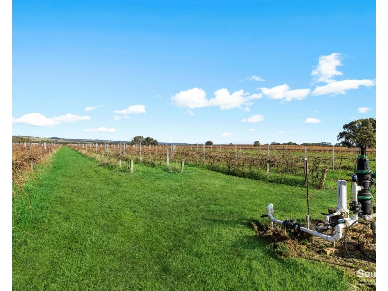 70 McLaren Flat Road, Mclaren Flat SA 5171