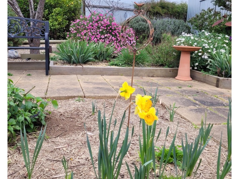 1/13 Railway Terrace, Mclaren Vale SA 5171