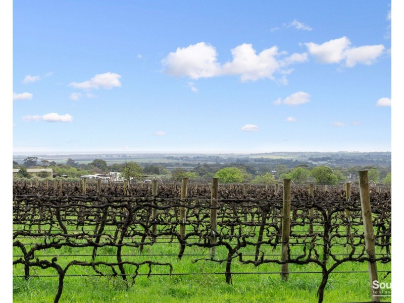 137 Gaffney Road, Willunga SA 5172