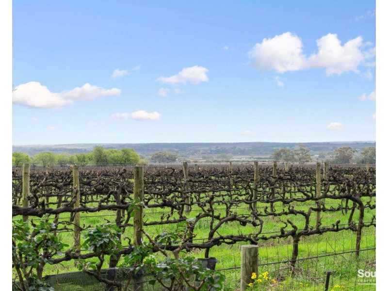 137 Gaffney Road, Willunga SA 5172