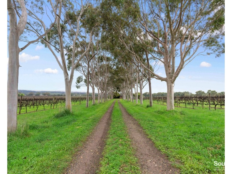 137 Gaffney Road, Willunga SA 5172