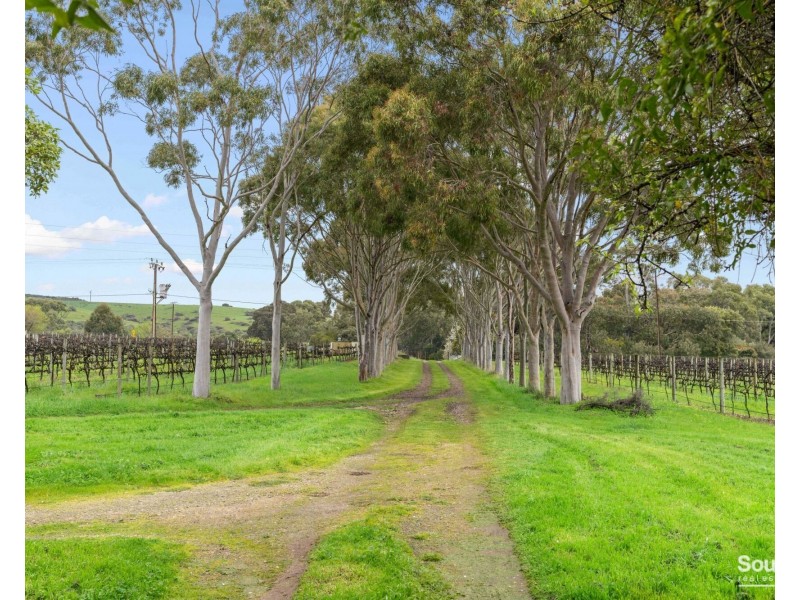 137 Gaffney Road, Willunga SA 5172