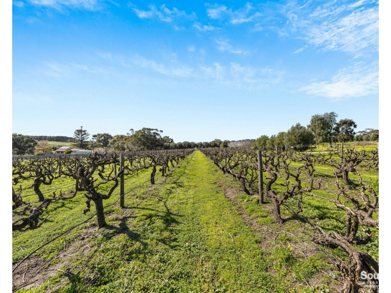 28 Twentyeight Road, Mclaren Vale SA 5171