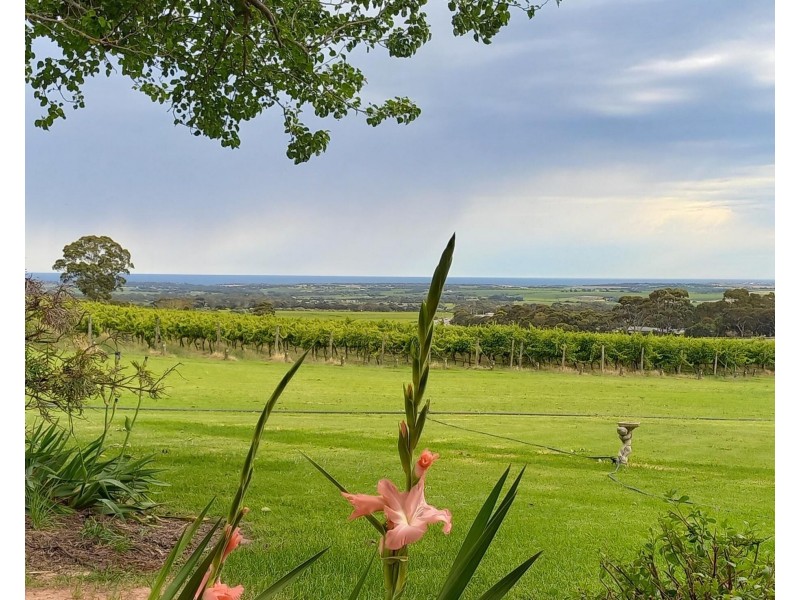 76 St Andrews Terrace, Willunga South SA 5172