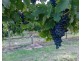 76 St Andrews Terrace, Willunga South SA 5172