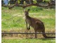 76 St Andrews Terrace, Willunga South SA 5172