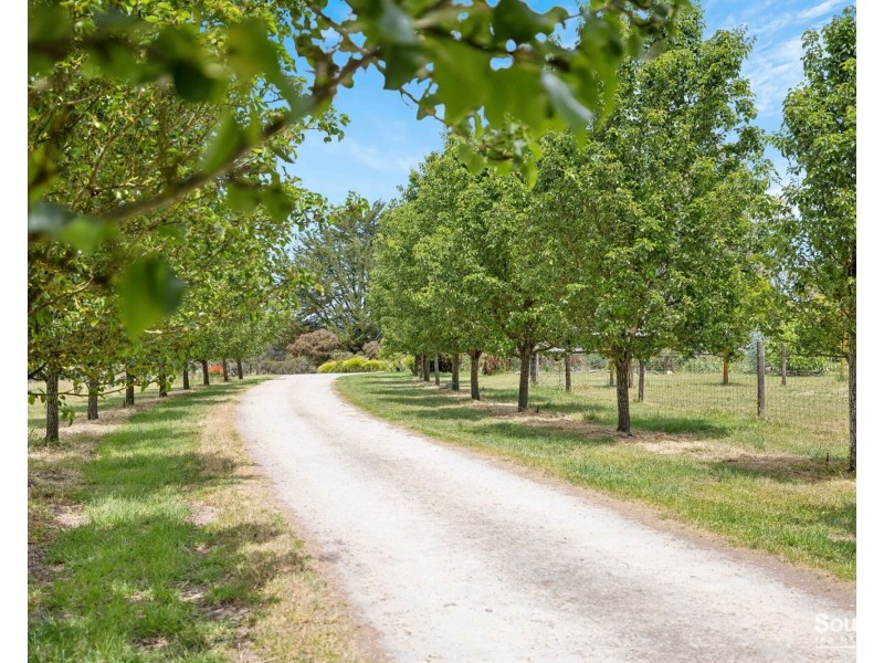 361 Badgers Road, The Range SA 5172