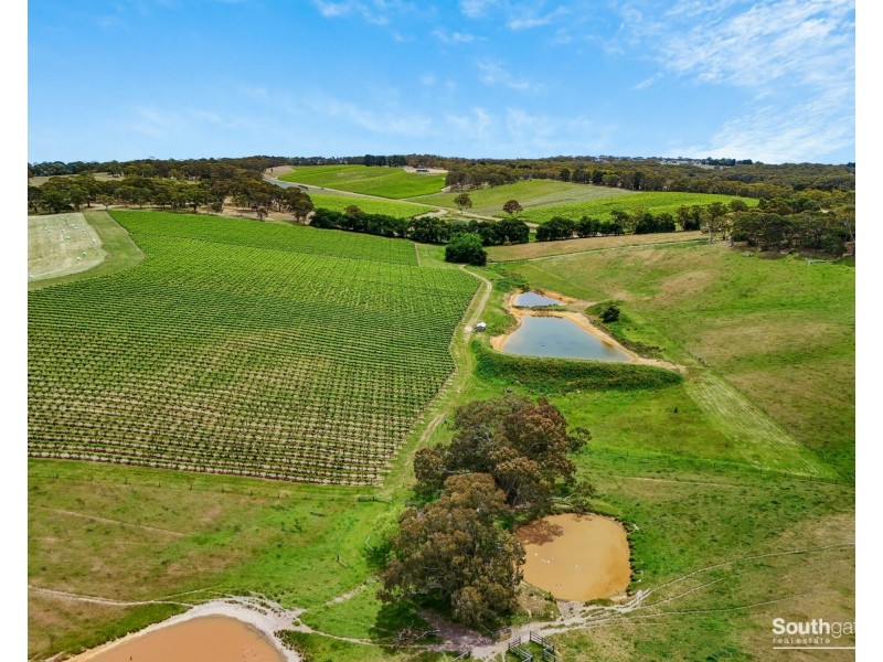 361 Badgers Road, The Range SA 5172