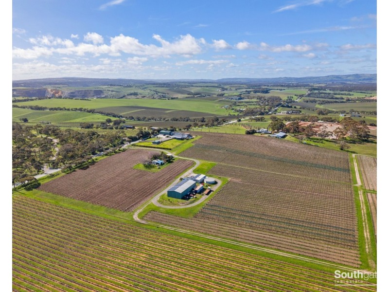 176 Seaview Road, Mclaren Vale SA 5171