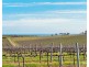 176 Seaview Road, Mclaren Vale SA 5171