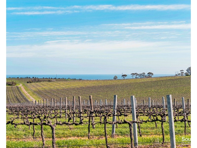 176 Seaview Road, Mclaren Vale SA 5171