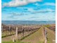 176 Seaview Road, Mclaren Vale SA 5171